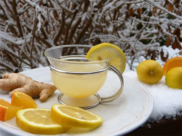 Distilled Water for Plants: 3 Proven Benefits You Need to Know